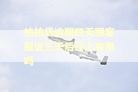 拍拍贷逾期四天跟客服说三天后还上有用吗