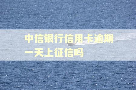 中信银行信用卡逾期一天上征信吗