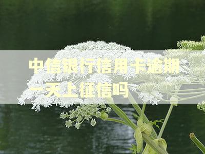 中信银行信用卡逾期一天上征信吗