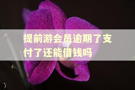 提前游会员逾期了支付了还能借钱吗