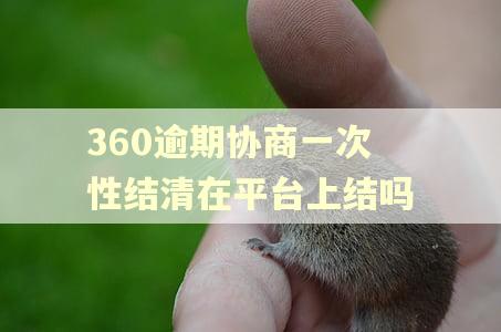 360逾期协商一次性结清在平台上结吗