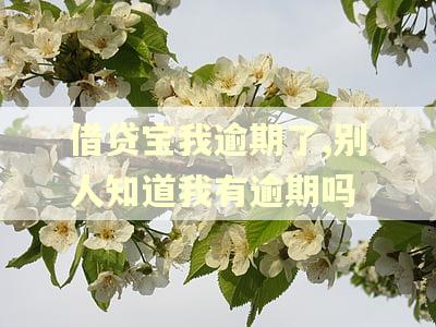 借贷宝我逾期了,别人知道我有逾期吗