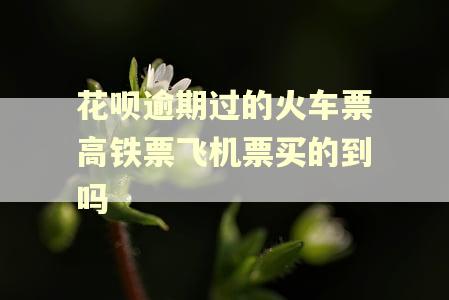 花呗逾期过的火车票高铁票飞机票买的到吗