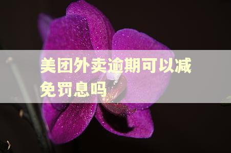 美团外卖逾期可以减免罚息吗