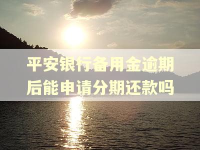 平安银行备用金逾期后能申请分期还款吗