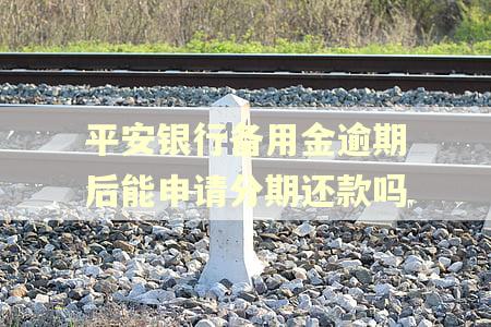 平安银行备用金逾期后能申请分期还款吗
