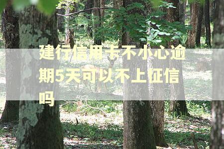 建行信用卡不小心逾期5天可以不上征信吗