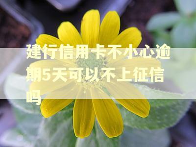 建行信用卡不小心逾期5天可以不上征信吗