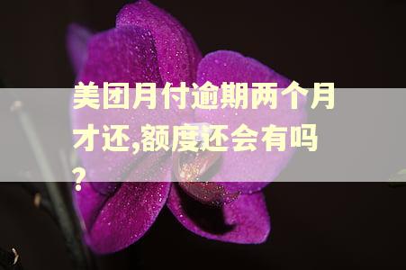 美团月付逾期两个月才还,额度还会有吗?