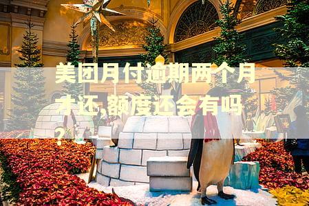 美团月付逾期两个月才还,额度还会有吗?