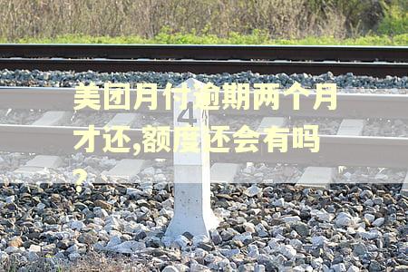 美团月付逾期两个月才还,额度还会有吗?