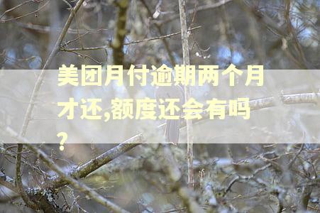 美团月付逾期两个月才还,额度还会有吗? 美团月付逾期两个月才还,额度还会有吗?