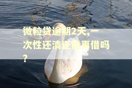 微粒贷逾期2天,一次性还清还能再借吗?