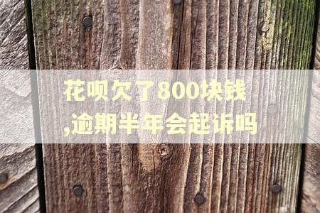 花呗欠了800块钱,逾期半年会起诉吗