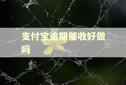 支付宝逾期催收好做吗