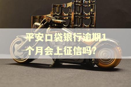平安口袋银行逾期1个月会上征信吗?