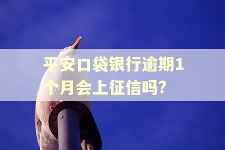 平安口袋银行逾期1个月会上征信吗?