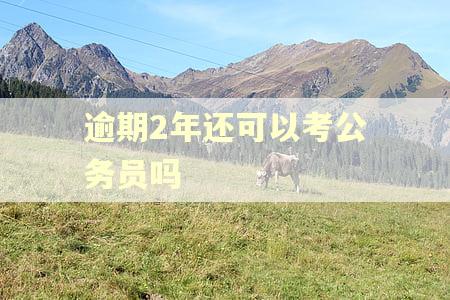 逾期2年还可以考公务员吗