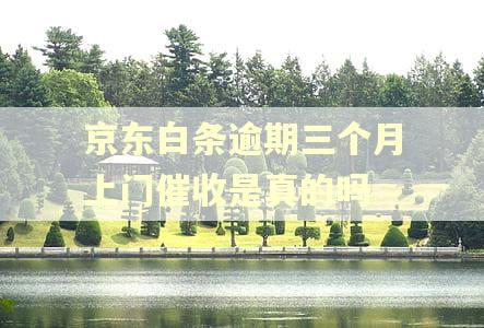 京东白条逾期三个月上门催收是真的吗