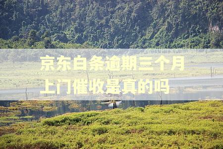 京东白条逾期三个月上门催收是真的吗 京东白条逾期三个月上门催收是真的吗