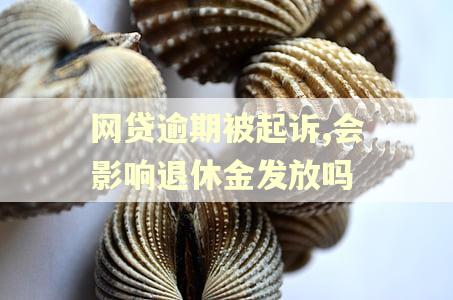 网贷逾期被起诉,会影响退休金发放吗