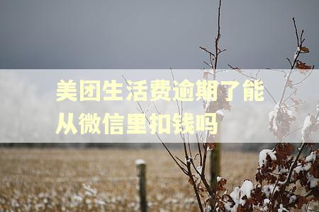 美团生活费逾期了能从微信里扣钱吗