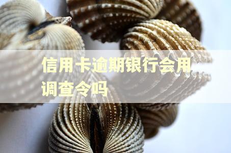 信用卡逾期银行会用调查令吗