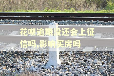 花呗逾期没还会上征信吗,影响买房吗