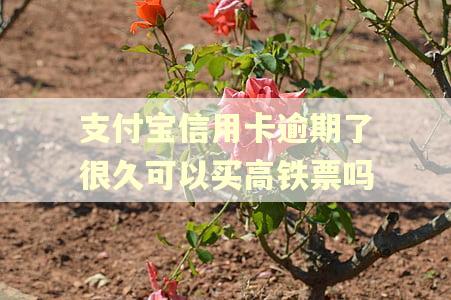支付宝信用卡逾期了很久可以买高铁票吗
