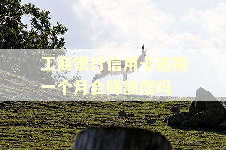 工商银行信用卡逾期一个月会降额度吗