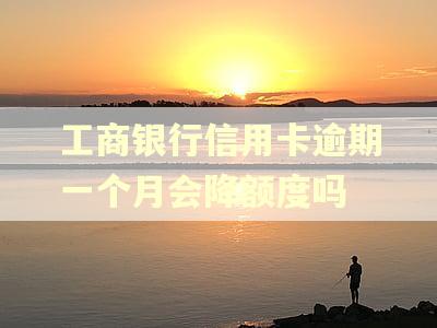 工商银行信用卡逾期一个月会降额度吗 工商银行信用卡逾期一个月会降额度吗