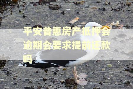 平安普惠房产抵押会逾期会要求提前还款吗
