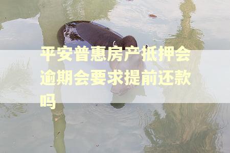 平安普惠房产抵押会逾期会要求提前还款吗