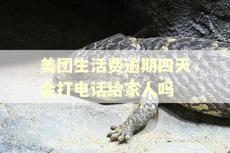 美团生活费逾期四天会打电话给家人吗 美团生活费逾期四天会打电话给家人吗