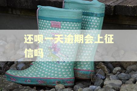还呗一天逾期会上征信吗