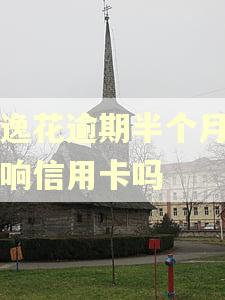 安逸花逾期半个月会影响信用卡吗