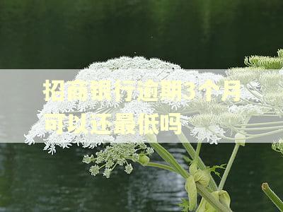 招商银行逾期3个月可以还最低吗