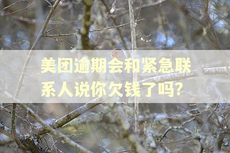 美团逾期会和紧急联系人说你欠钱了吗?