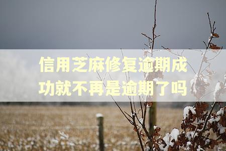 信用芝麻修复逾期成功就不再是逾期了吗