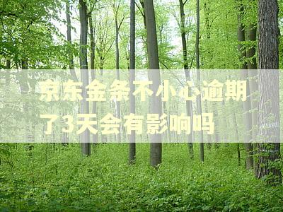 京东金条不小心逾期了3天会有影响吗