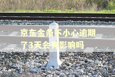 京东金条不小心逾期了3天会有影响吗