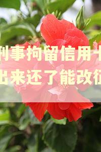 因刑事拘留信用卡逾期出来还了能改征信吗