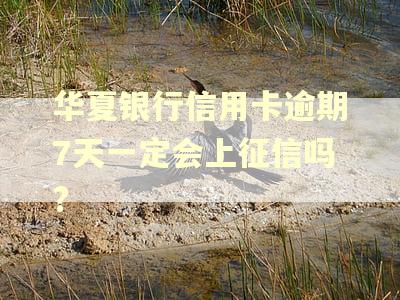 华夏银行信用卡逾期7天一定会上征信吗?