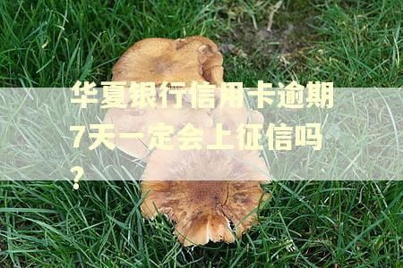 华夏银行信用卡逾期7天一定会上征信吗?