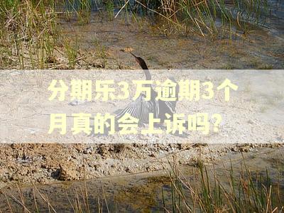 分期乐3万逾期3个月真的会上诉吗?