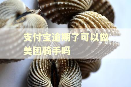 支付宝逾期了可以做美团骑手吗
