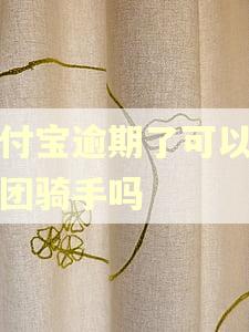 支付宝逾期了可以做美团骑手吗 支付宝逾期了可以做美团骑手吗