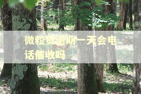 微粒贷逾期一天会电话催收吗