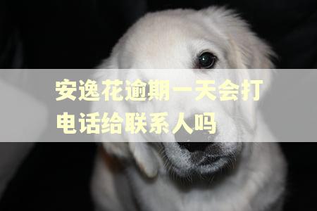 安逸花逾期一天会打电话给联系人吗