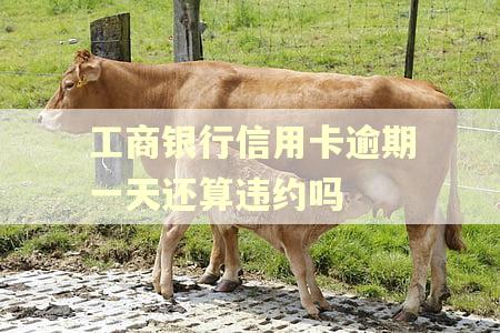 工商银行信用卡逾期一天还算违约吗